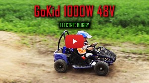 GoKid 1000w 48v Electric Buggy-Gokart in Action