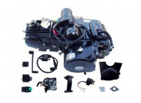 Komplette Motor 125ccm Automatik mit Rückwärtsgang 1+1 für 110, 125, 150 Quad