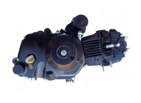 Komplette Motor 125ccm Automatik mit Rückwärtsgang 1+1 für 110, 125, 150 Quad