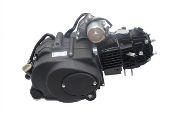 Motor 125ccm Automatik mit Rückwärtsgang 1+1