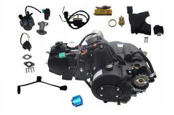 Motor 125ccm Automatik mit Rückwärtsgang 1+1