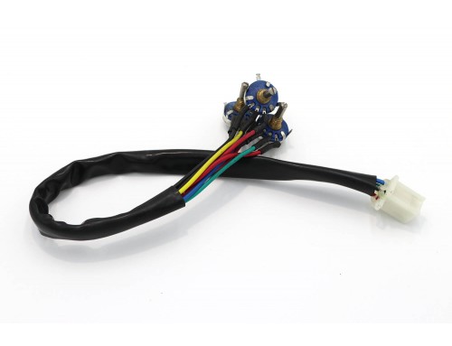 Adjustable function wires with potentiometers for Electric Quad Bike