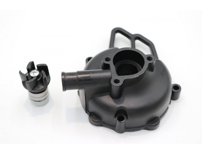 Wasserpumpe für NRG50 49cc 2-Takt 9 PS Kickstart Motor