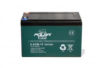 Batterij 12V 12Ah 6-DZM-12