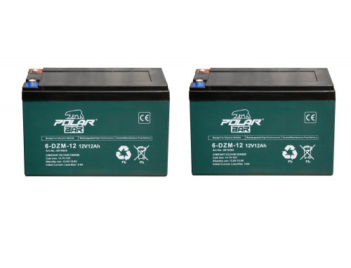 Battery 24V 12Ah 6-DZM-12