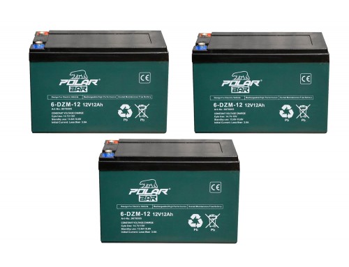 Battery 36V 12Ah 6-DZM-12