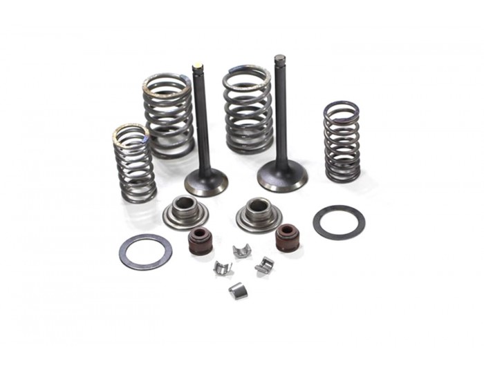 Engine valves for 110cc, 125cc, Quad, Dirt Bike