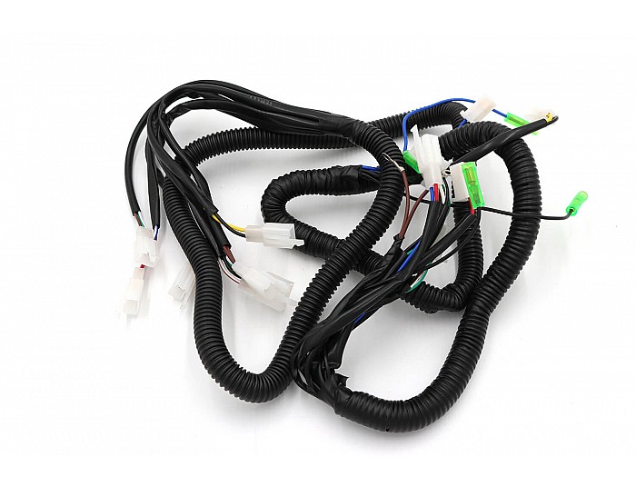 Faisceau de câblage pour 750W 60V  électrique Buggy, Gokart avec inverseur