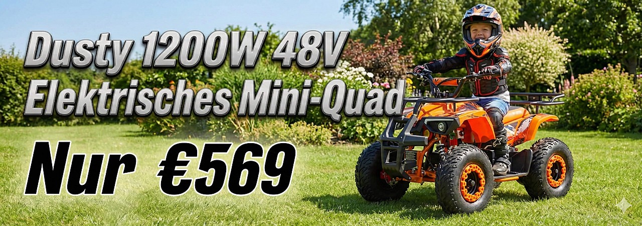 Baner 1200W 48V Elektro Quad Bike