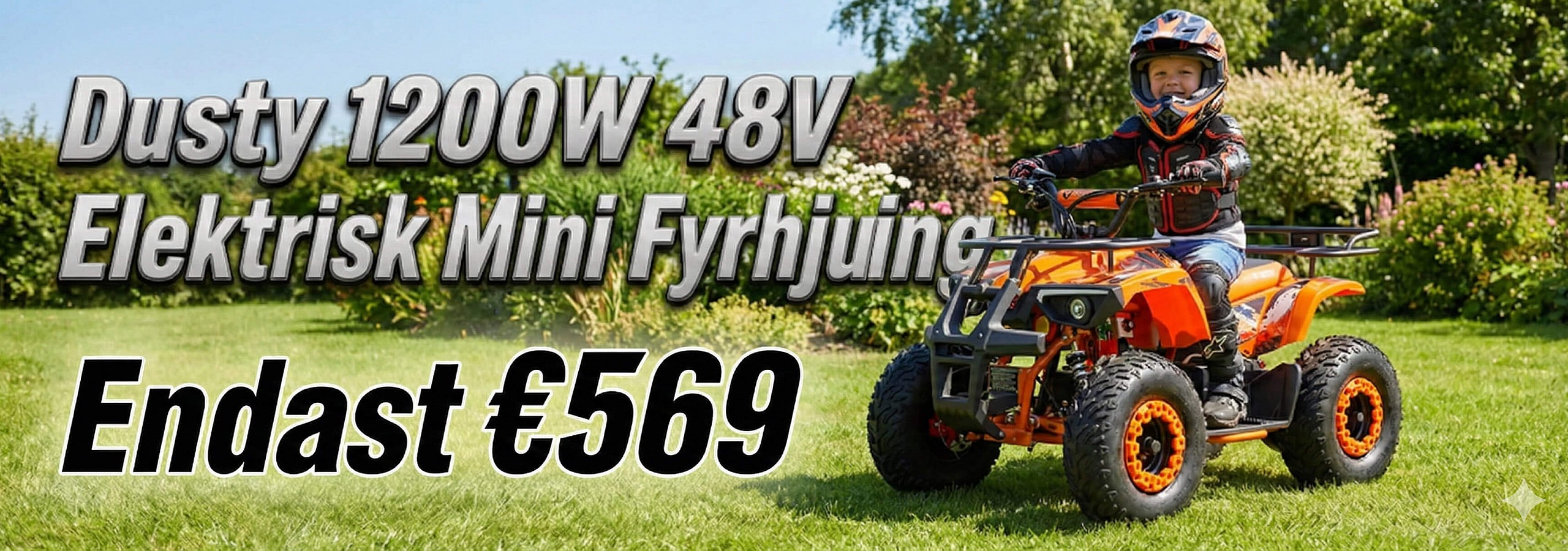 Baner 1200W 48V Elektriska 4-hjuling Quad