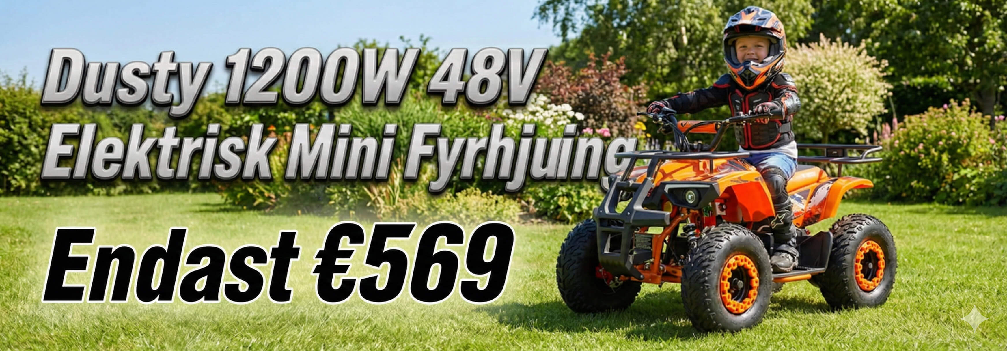 Baner 1200W 48V Elektriska 4-hjuling Quad