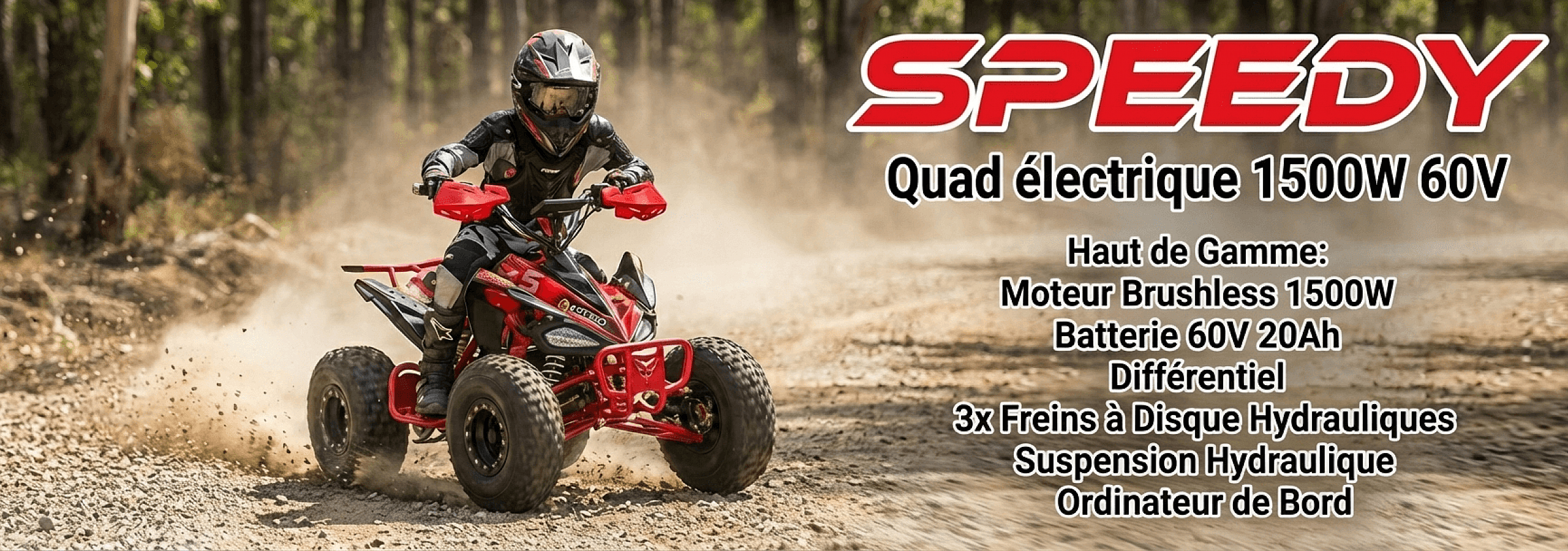 Baner Speedy 1500W 60V Mini Quad Électrique