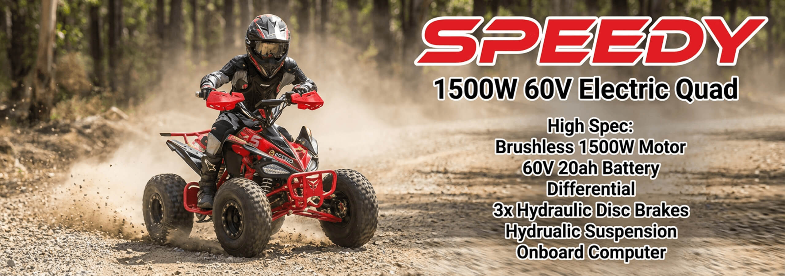 Baner Speedy 1500W 60V Electric Quad Bike