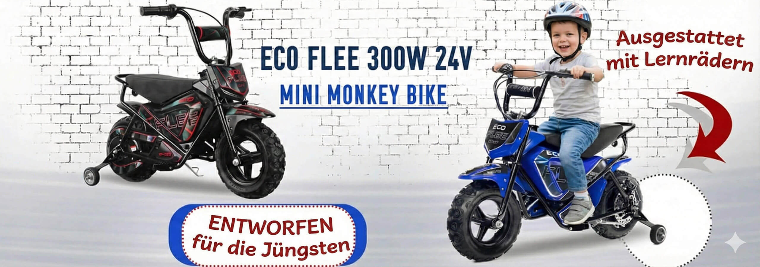 Baner Eco Flee 300w 24v