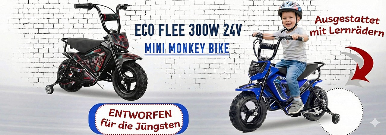 Baner Eco Flee 300w 24v