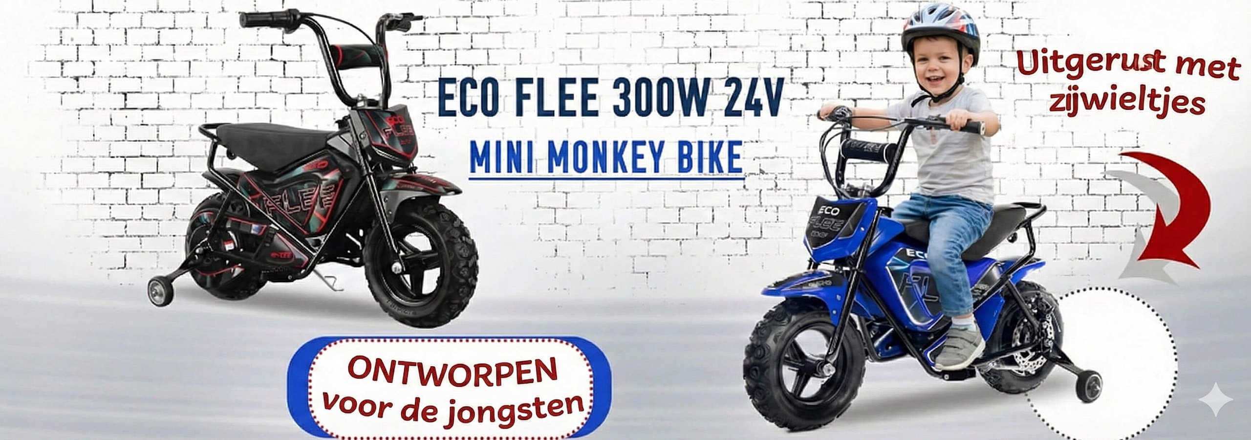 Baner Eco Flee 300w 24v