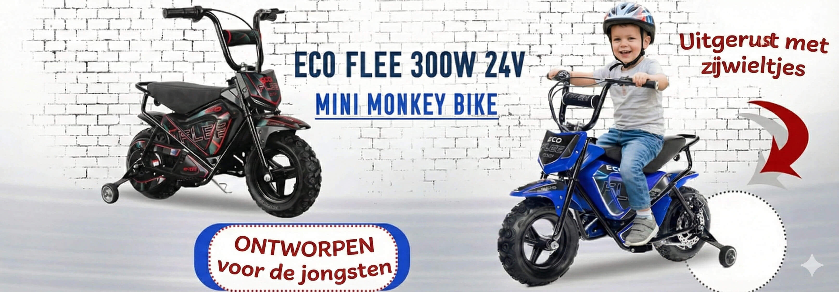 Baner Eco Flee 300w 24v