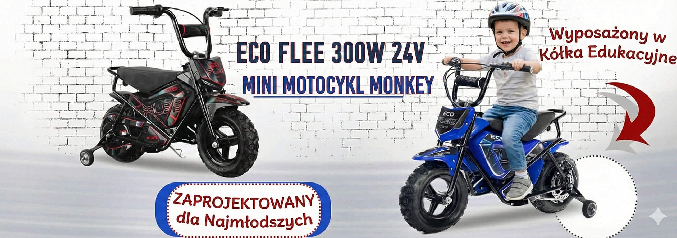 Baner Eco Flee 300w 24v
