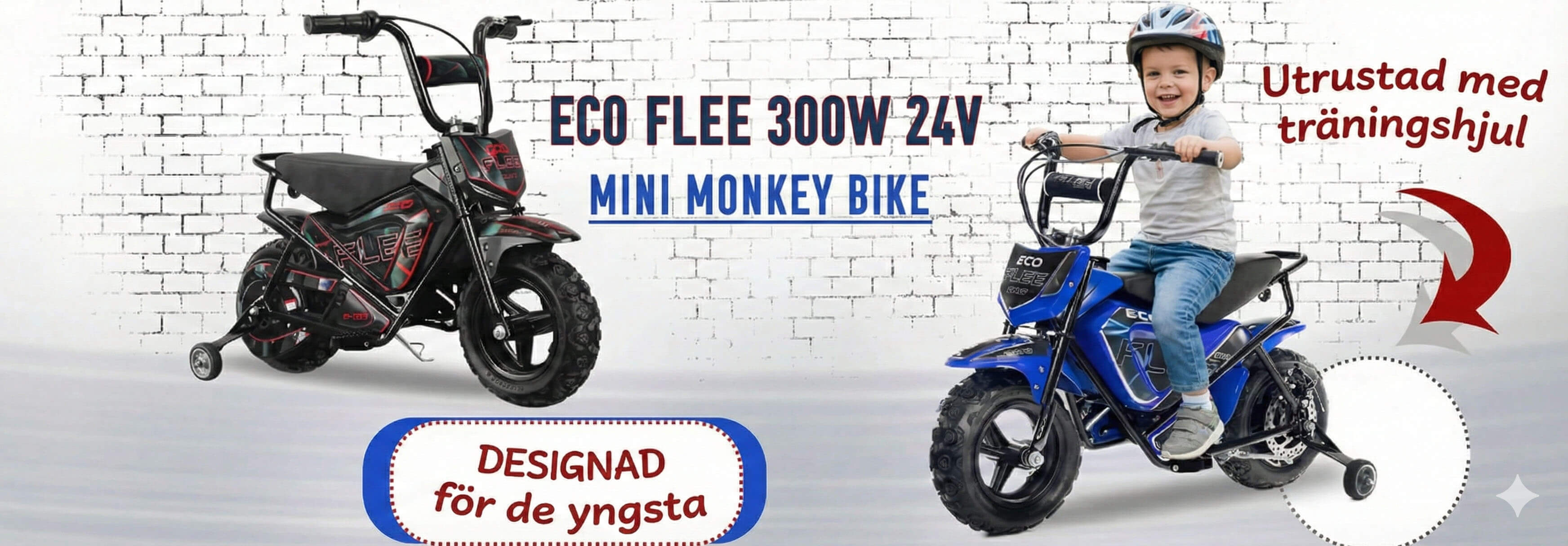 Baner Eco Flee 300w 24v
