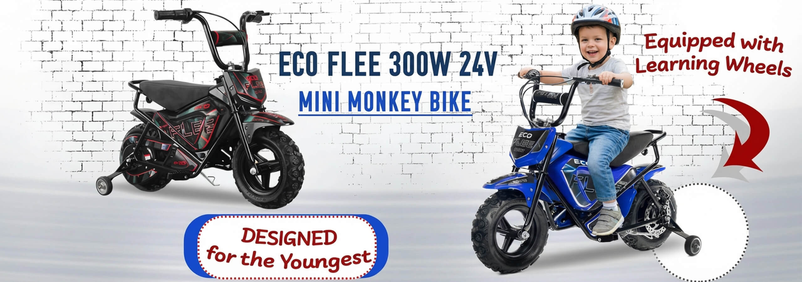 Baner Eco Flee 300w 24v
