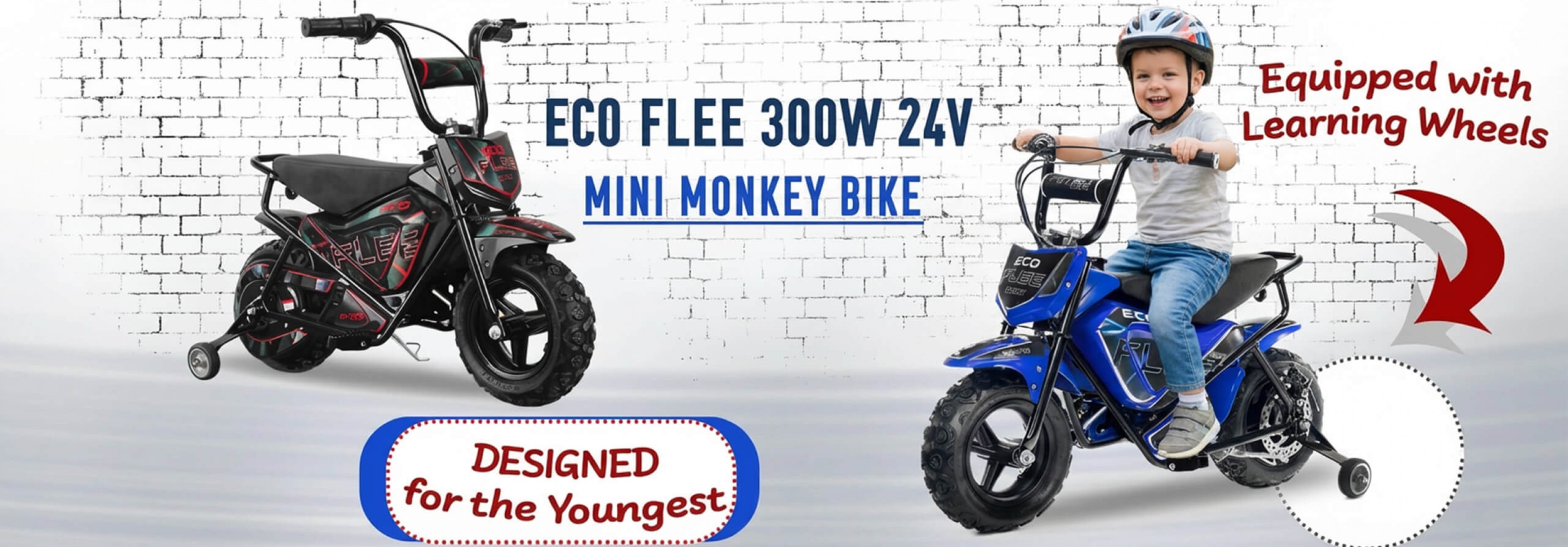Baner Eco Flee 300w 24v