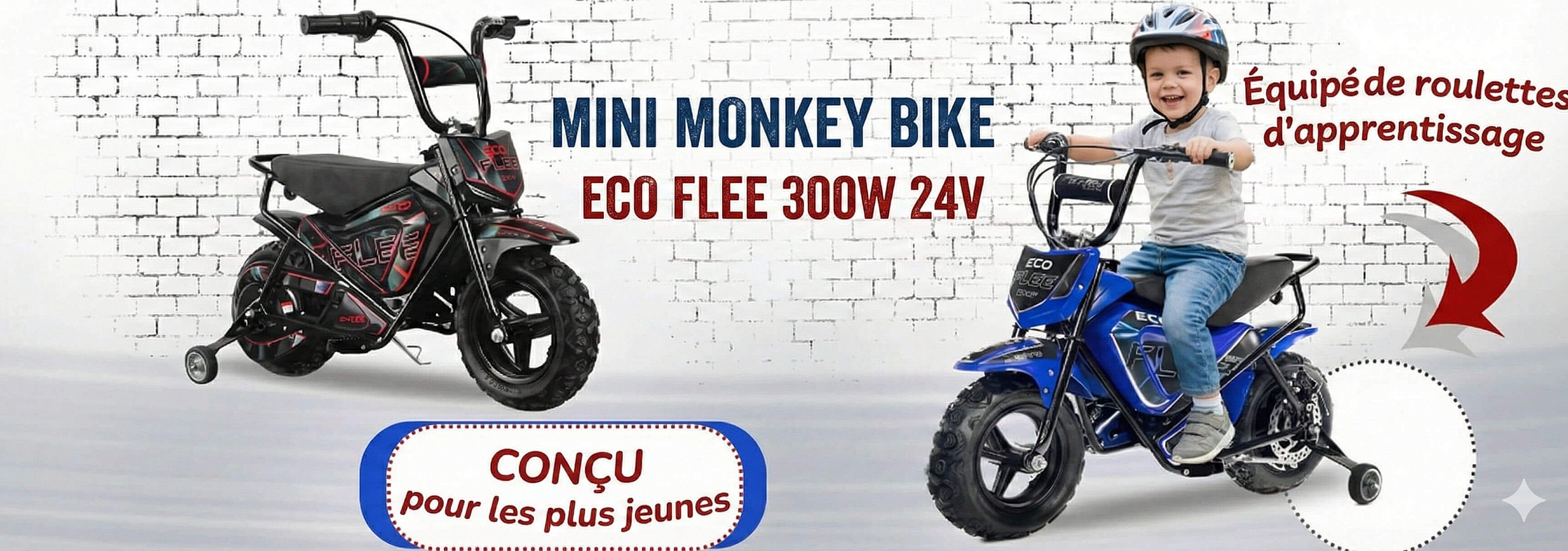 Baner Eco Flee 300w 24v