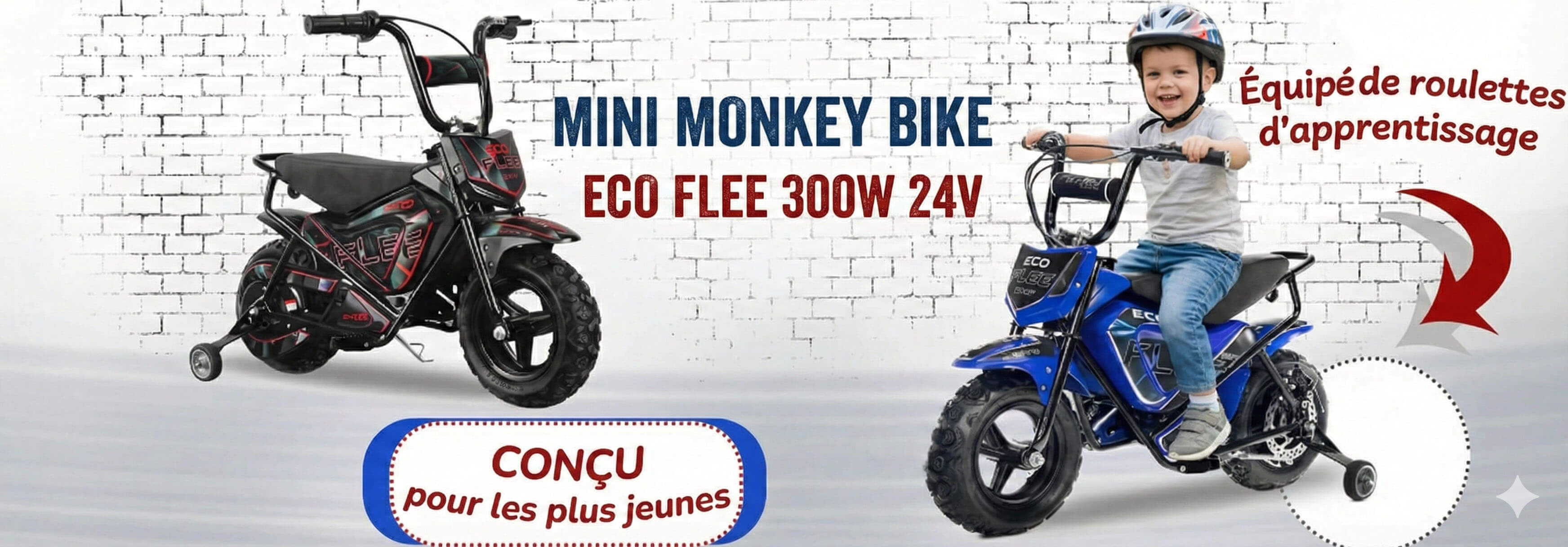 Baner Eco Flee 300w 24v