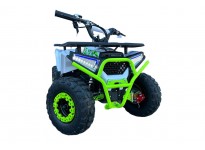 Armour FFA 1000W 48V Elektrisch Mini Quad Voor Kinderen