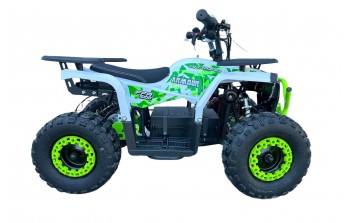Armour FFA 1000W 48V Elektrisch Mini Quad