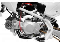 Drizzle V2 140cc PIT BIKE - DIRT BIKE - MOTORBIKE XL