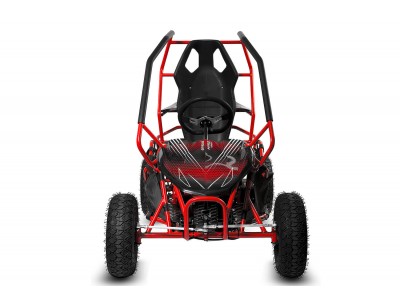 Electric Kids Buggies : GoKid Racer 1000W 36V Go Kart Kids