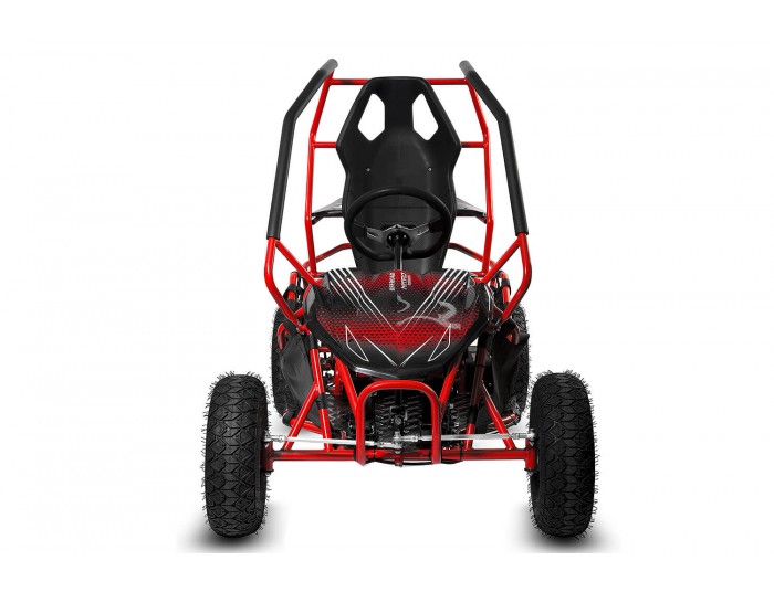GoKid Racer 1000W 36V Go Kart Elektriska Buggy On Road