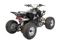 Grizzly RG8 OnRoad 125 Quad voor Kinderen Automatisch met Achteruit, 4-taktmotor, Elektrische Starter, Nitro Motors