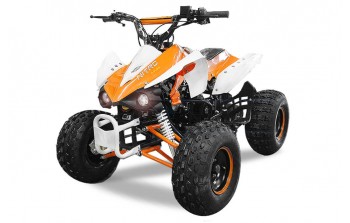 Panthera 3G8 125 Midi Quad ATV