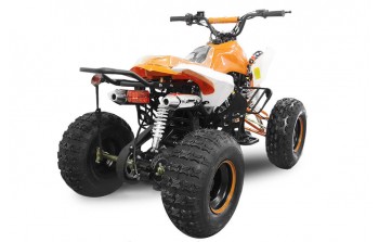 Panthera 3G8 125 4-Hjuling Quad 