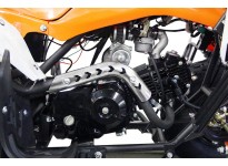 Panthera 3G8 125cc Petrol Quad Bike Semi-Automatic , 4 Stroke Engine, Electric Start, Nitro Motors