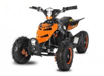 Repti Deluxe 800W 36V KIDS ELECTRIC QUAD BIKE