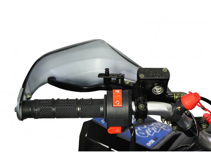 Rizzo RS8-3G Sport Edition 125cc Petrol Quad Bike Semi-Automatic , 4 Stroke Engine, Electric Start, Nitro Motors