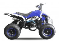 Speedy 3G8 125cc Petrol Quad Bike Semi-Automatic , 4 Stroke Engine, Electric Start, Nitro Motors