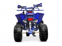 Warrior XXL 3G8 125cc Petrol Quad Bike Semi-Automatic , 4 Stroke Engine, Electric Start, Nitro Motors