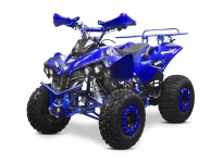 Warrior XXL 3G8 125 4-Hjuling Halvautomatisk Quad , 4-taktsmotor, Elektrisk start, Nitro Motors