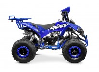 Warrior XXL 3G8 125 Quad Bike Semi-Automatik, 4-Takt-Motor, Elektro Starter, Nitro Motors