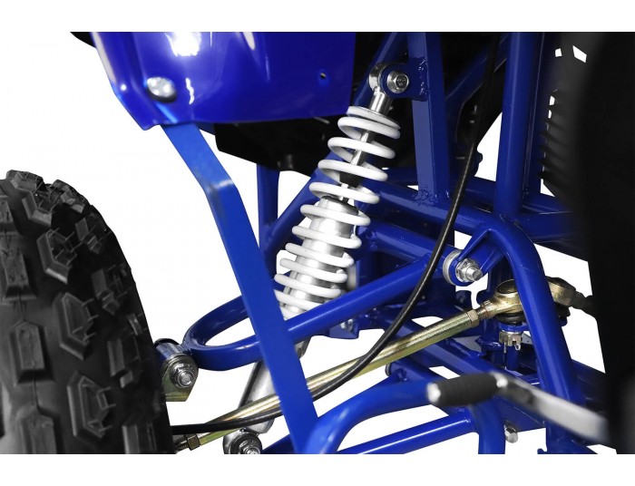 Warrior XXL 3G8 125cc Petrol Quad Bike Semi-Automatic , 4 Stroke Engine, Electric Start, Nitro Motors