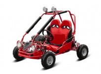 50cc Benzin Kinder Mini Buggy
