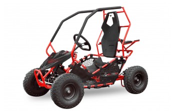 GoKid Racer 1000W 36V Go Kart Elektriska Buggy 