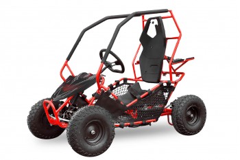 GoKid Racer 1000W 36V Go Kart Elektrische Kinderbuggy 