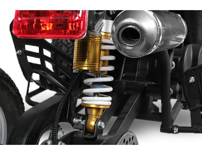 Grizzly 3G8 125 Quad Bike Semi-Automatik, 4-Takt-Motor, Elektro Starter, Nitro Motors