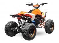 Speedy 1000W 48V XXL Elektriska 4-hjuling Quad for Barn