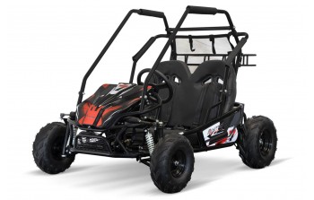 1000W 60V Elektriska Buggy