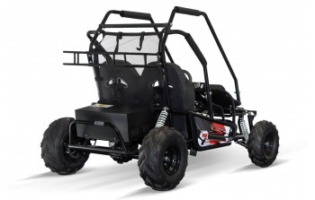 2000W 60V Elektriska Buggy